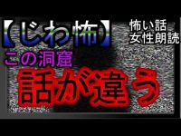 【じわじわ来る怖い話】エクスカリバー（怪談朗読・怖い話睡眠用）